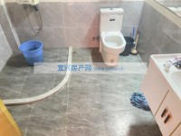 其它图