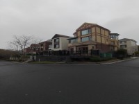 其它图