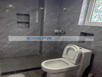 其它图