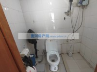 其它图