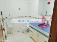 其它图