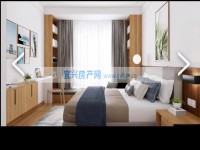 其它图