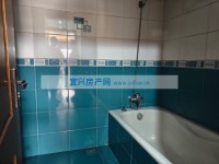 其它图