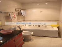 其它图