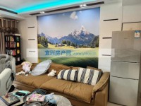 其它图