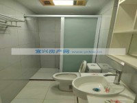 其它图