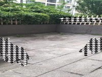 其它图