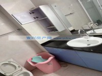 其它图
