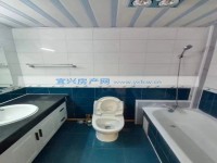 其它图