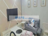 其它图