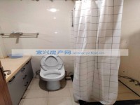其它图
