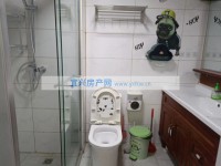 其它图