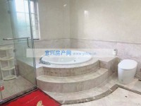 其它图