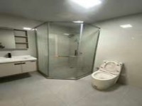 其它图