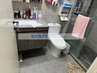 其它图