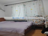 其它图