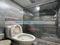 其它图