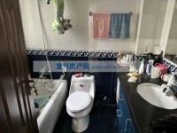 其它图