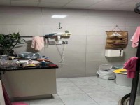 其它图