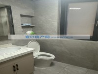 其它图