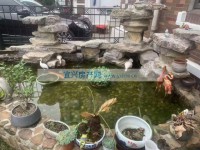 其它图