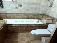 其它图