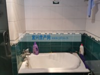 其它图