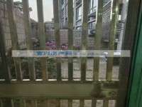 其它图
