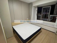 其它图
