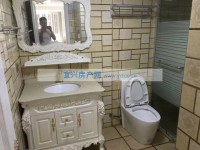 其它图