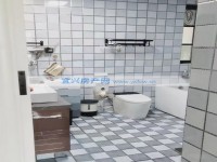 其它图