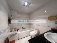 其它图