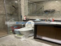 其它图