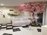 其它图