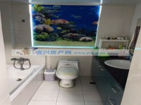 其它图