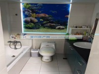 其它图