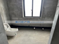 其它图