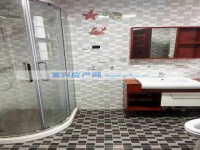 其它图