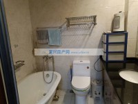 其它图