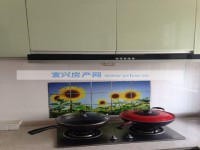 其它图