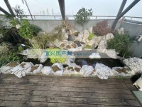 其它图