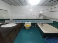 其它图