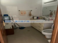 其它图