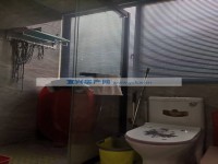 其它图