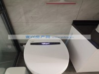 其它图
