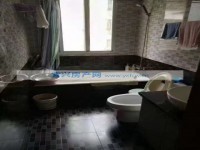 其它图