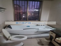 其它图