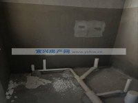其它图