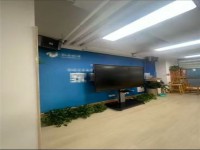 其它图