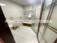 其它图